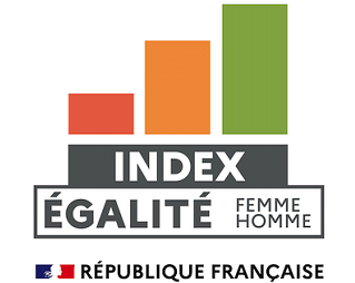 Index de l’égalité professionnelle non calculable